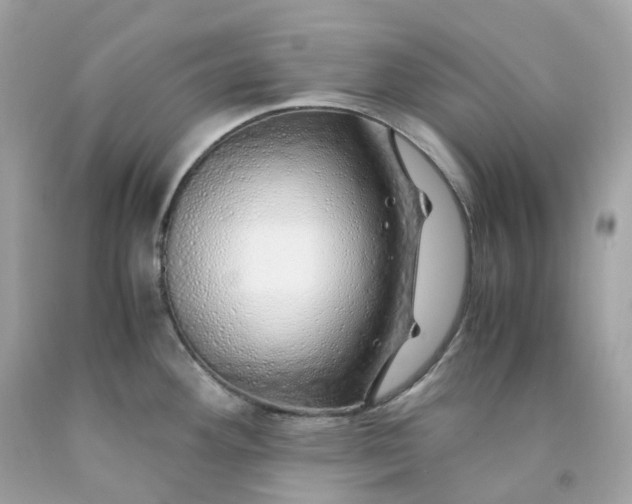 X0000091491292200709061852