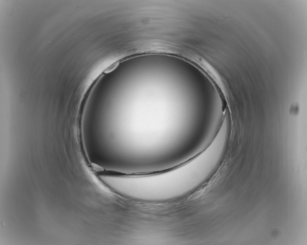 X0000091491293200709061852