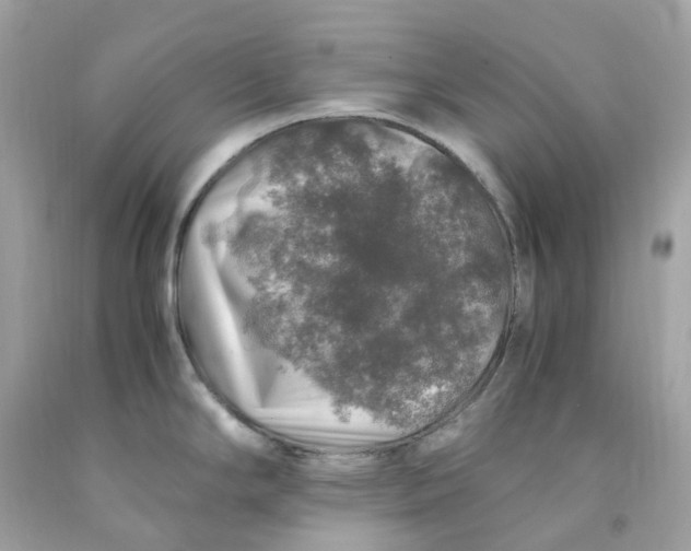 X0000091491294200709061852