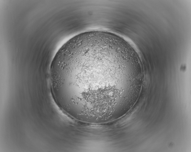 X0000091491295200709061852