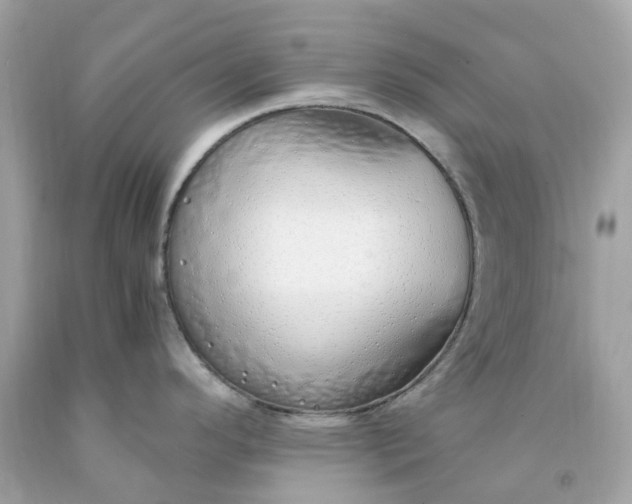 X0000091491296200709061852