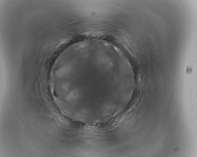 X0000091491297200709061852