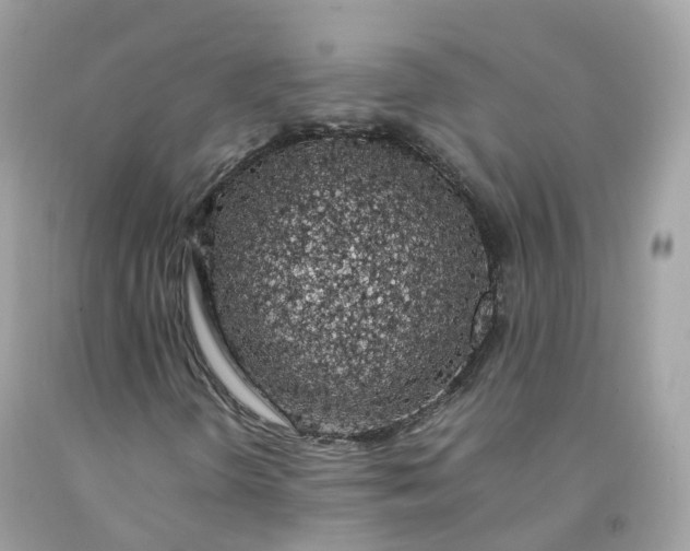 X0000091491298200709061852