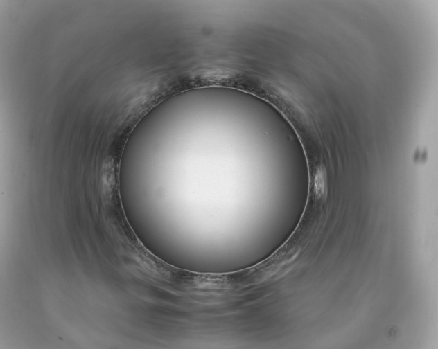 X0000091491299200709061852