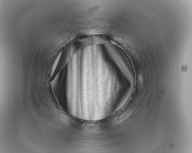 X0000091491300200709061852