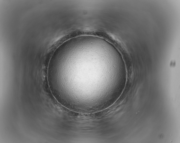 X0000091491301200709061852