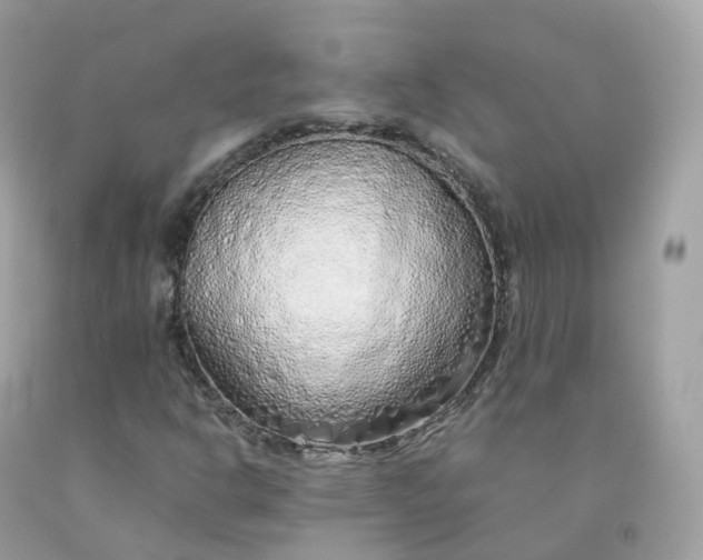 X0000091491302200709061852