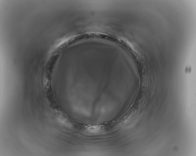 X0000091491303200709061852