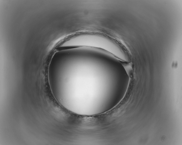 X0000091491304200709061852