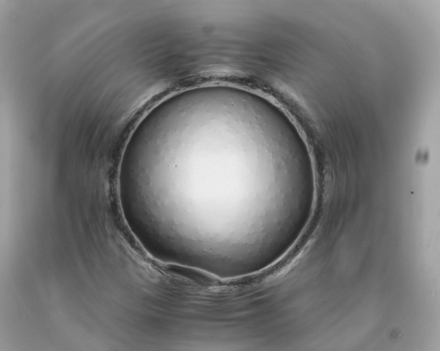 X0000091491305200709061852