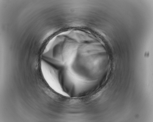 X0000091491306200709061852