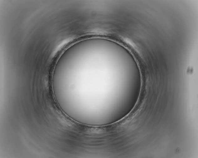 X0000091491307200709061852