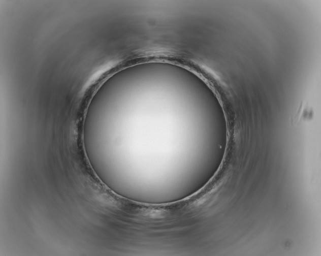 X0000091491309200709061852