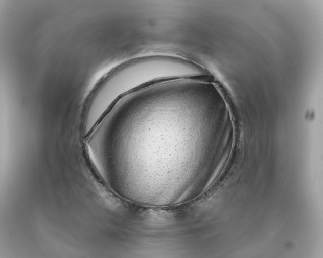 X0000091491312200709061852