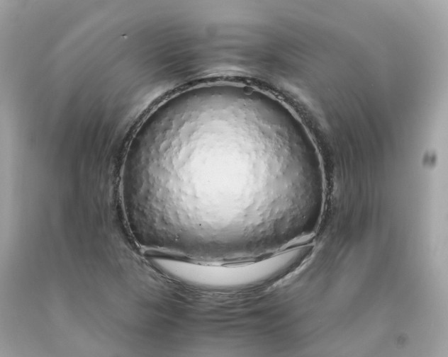 X0000091491313200709061852