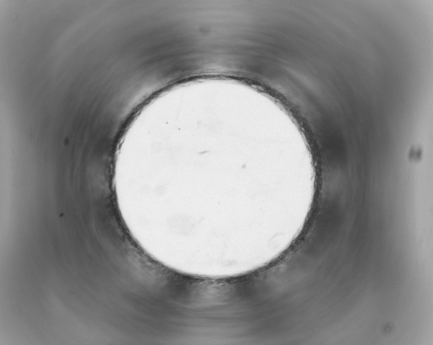 X0000091491314200709061852