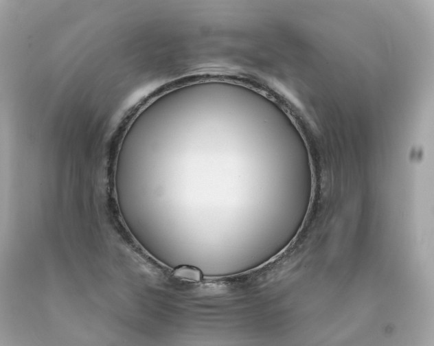 X0000091491315200709061852