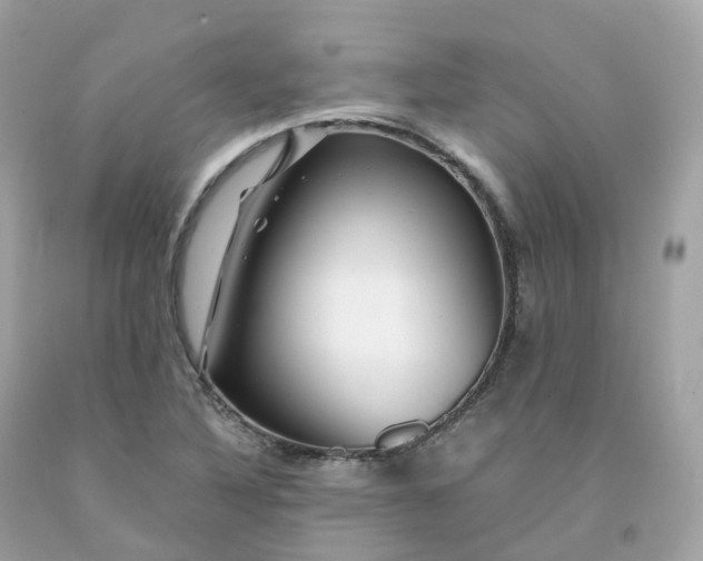 X0000091491316200709061852