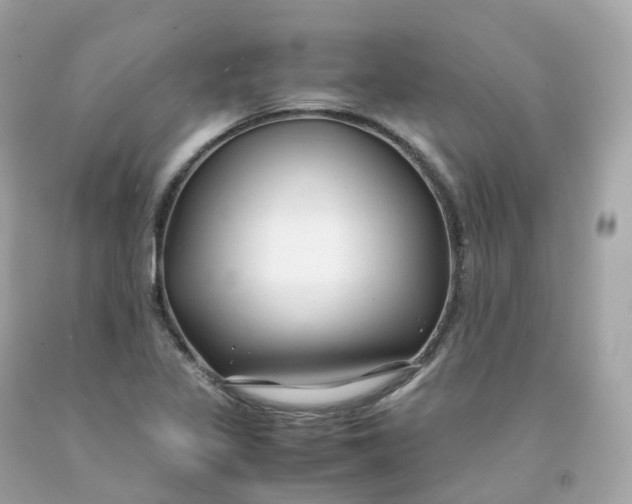 X0000091491317200709061852