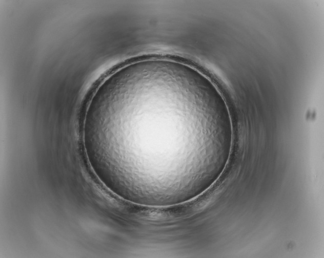 X0000091491318200709061852