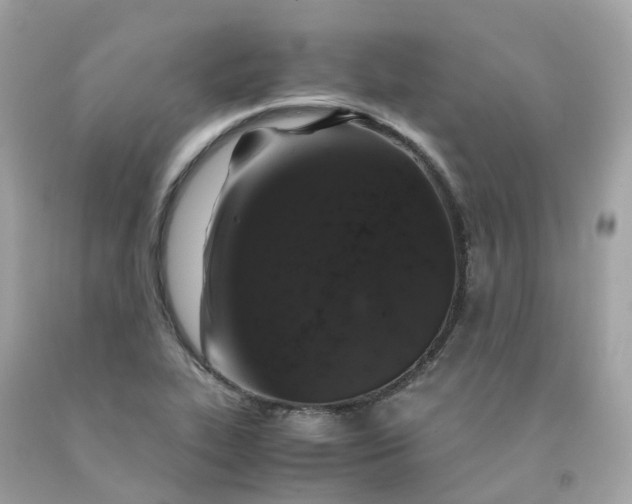 X0000091491319200709061852