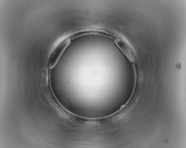 X0000091491320200709061852