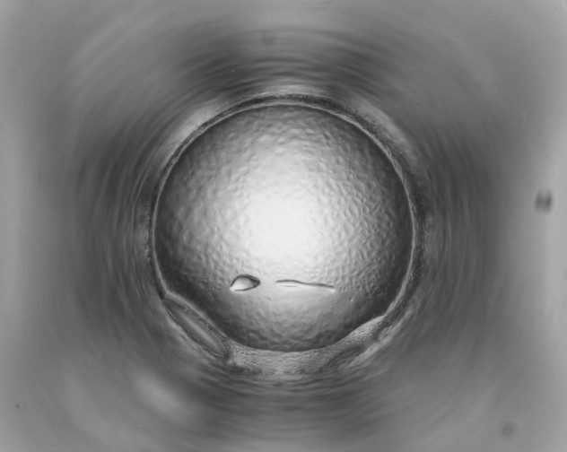 X0000091491321200709061852