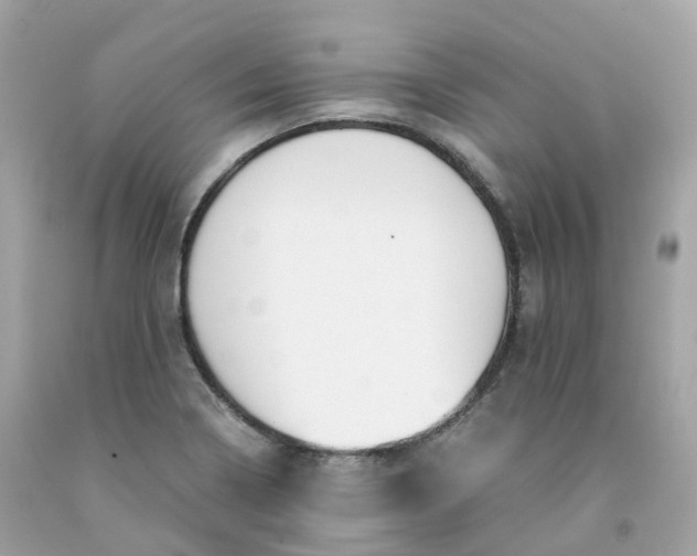 X0000091491322200709061852