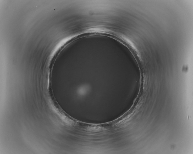 X0000091491323200709061852