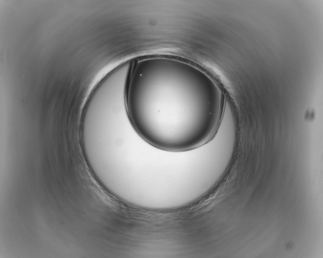 X0000091491324200709061852