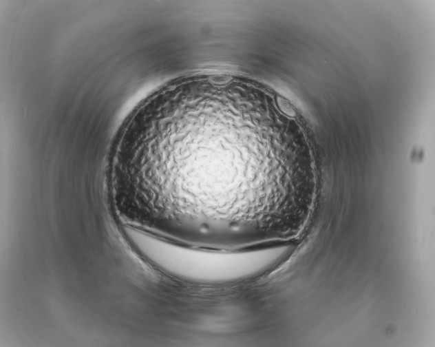 X0000091491325200709061852