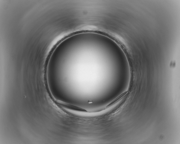 X0000091491326200709061852