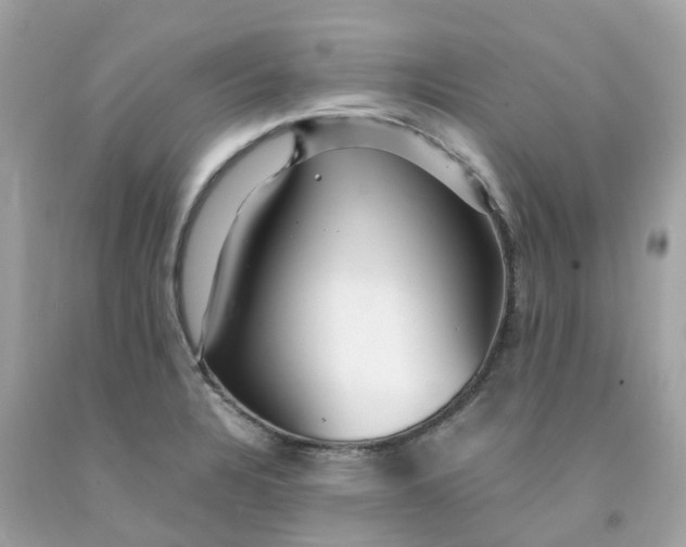 X0000091491328200709061852