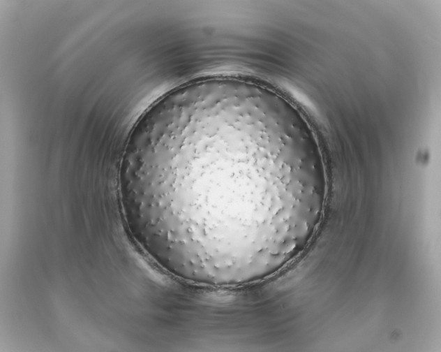 X0000091491329200709061852