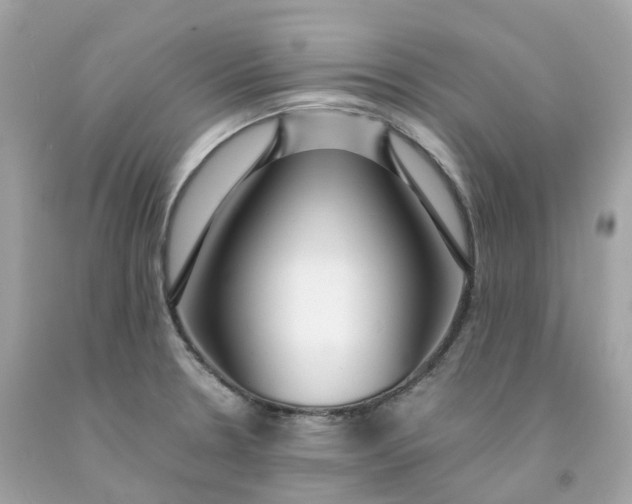 X0000091491330200709061852