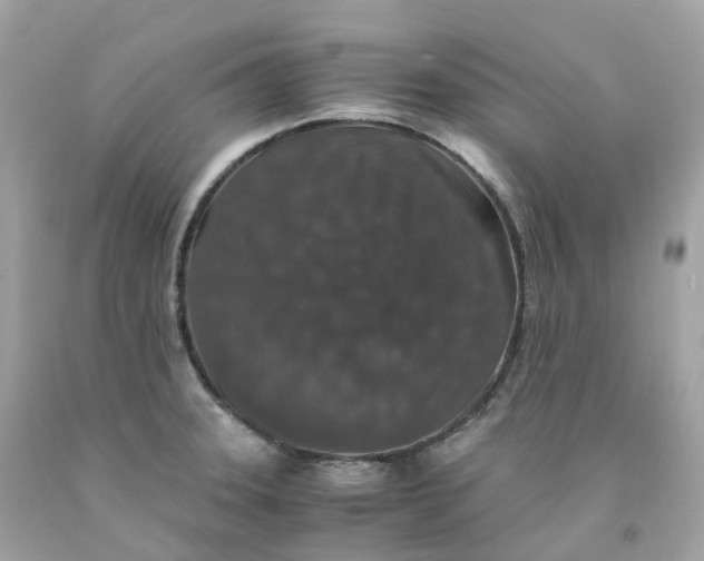 X0000091491331200709061852