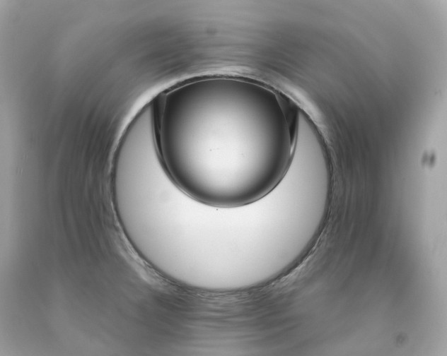 X0000091491332200709061852