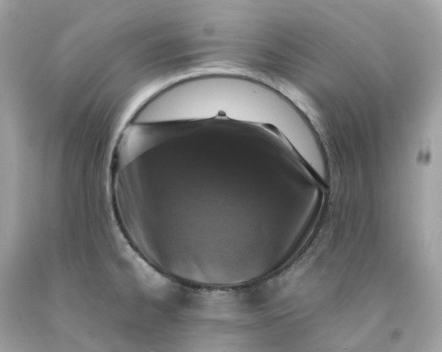 X0000091491334200709061852