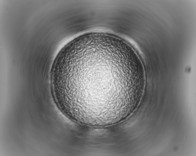 X0000091491335200709061852