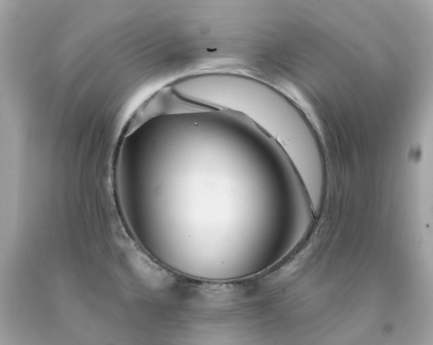 X0000091491336200709061852