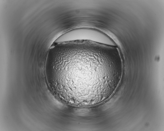 X0000091491337200709061852