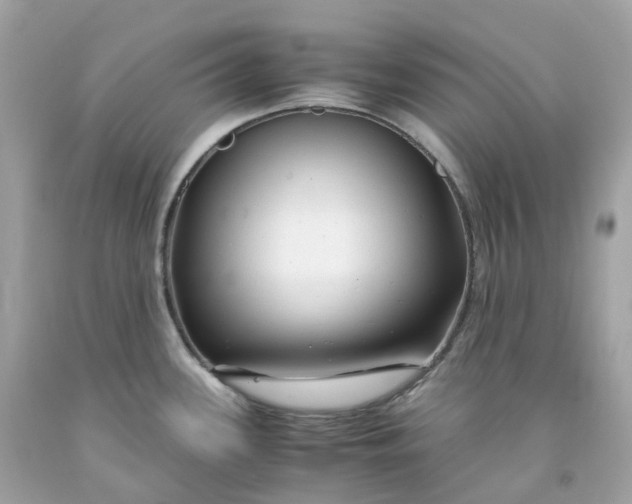 X0000091491339200709061852