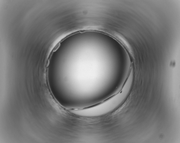 X0000091491340200709061852