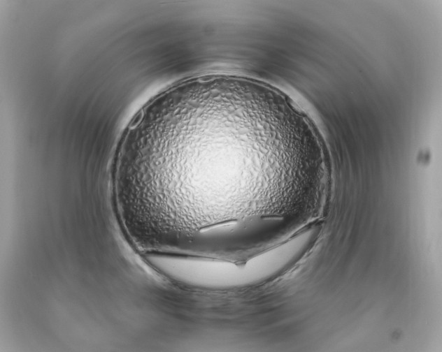 X0000091491341200709061852