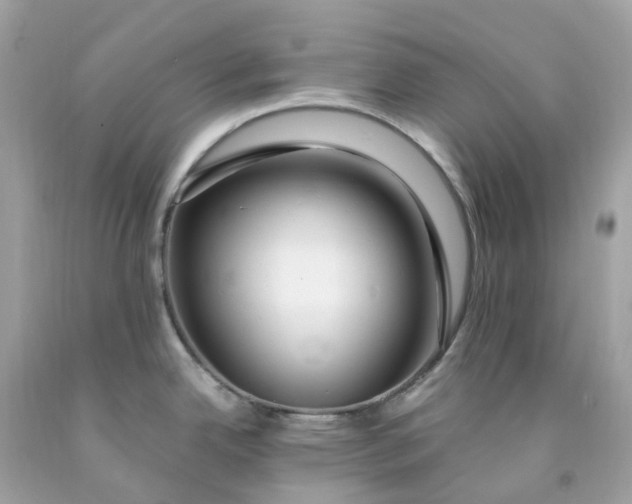 X0000091491342200709061852