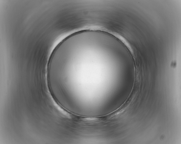 X0000091491343200709061852