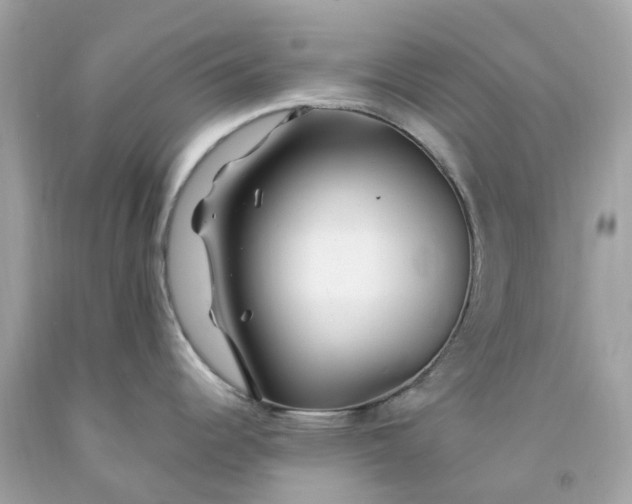 X0000091491344200709061852