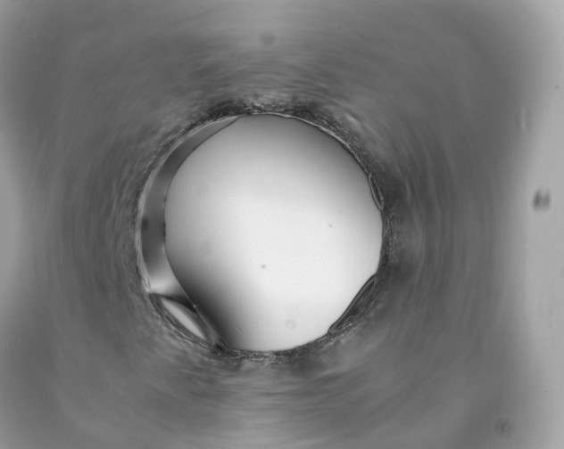 X0000091491345200709061852