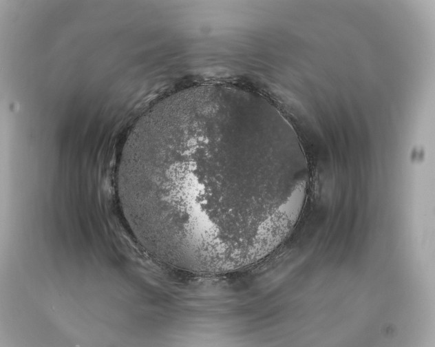 X0000091491346200709061852