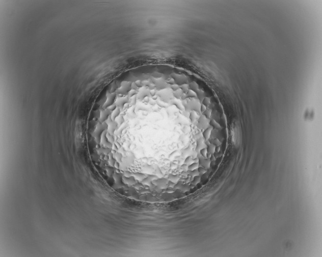 X0000091491347200709061852